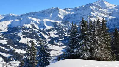 Panorama Wispile bei Gstaad