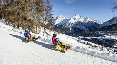 Schlittenfahren in Scuol - Ftan