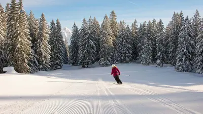 Waldpiste Flumserberg