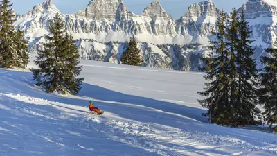 Schlittenfahren am Flumserberg