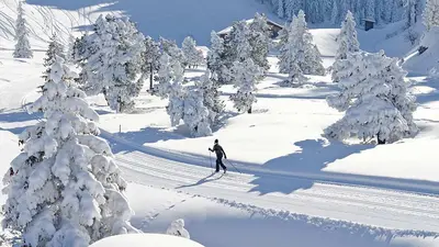 Langläufer auf einer Loipe in Stoos