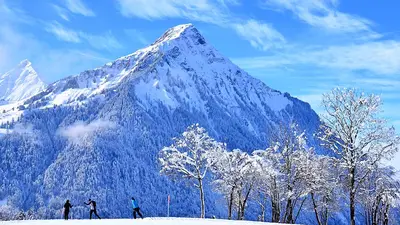 Langläufer in Aeschi