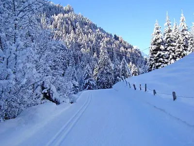 Loipe in Aeschi © Aeschi Tourismus