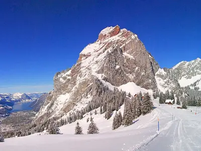Blick auf die Pisten am Holzegg © Mythenregion AG; Ivo Schmidig