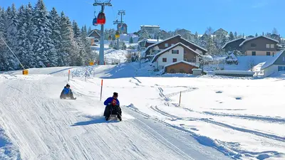Rodler auf dem Schlittelweg in Sattel Hochstuckli