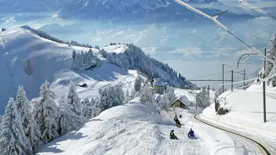 Rodelbahn im Skigebiet Rigi