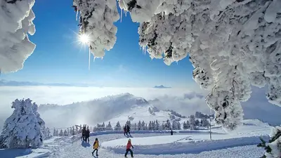 Winterwanderer auf dem Rundweg in Rigi