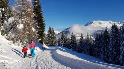 Winterwanderer in Brambrüsch