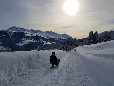 Rodeln in Chur-Brambrüesch © Chur Tourismus