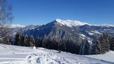 Rodeln in Chur-Brambrüesch