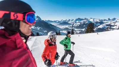 Skifahrer am Hornberg