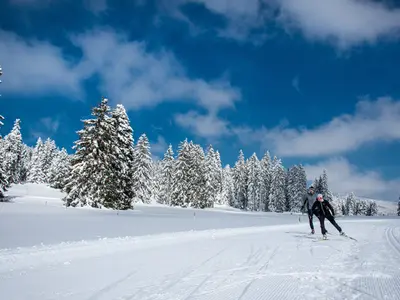 Langlaufloipe in der Region Sainte-Croix © D.CARLIER / davidcarlierphotography.com