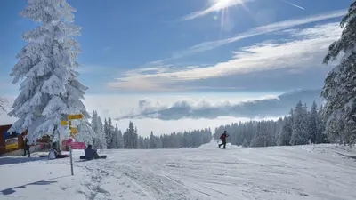 Blick auf eine Piste im Skigebiet Sainte-Croix / Les Rasses
