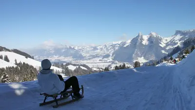 Schlittenfahrt im Skigebiet Moléson