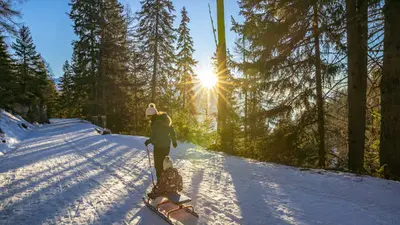 Rodler bei einer Schlittelfahrt in Jeizinen