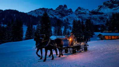 Pferdeschlittenfahrt bei Nacht