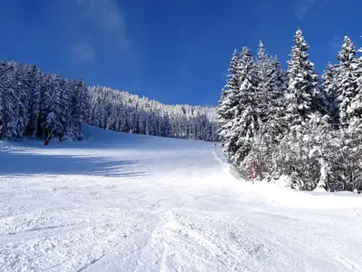 Piste am Spieljoch © www.spieljochbahn.at