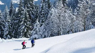 Schneeschuhwandern in St. Johann