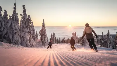Skifahren am Hochficht