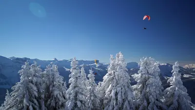 Paragleiter über Andelsbuch