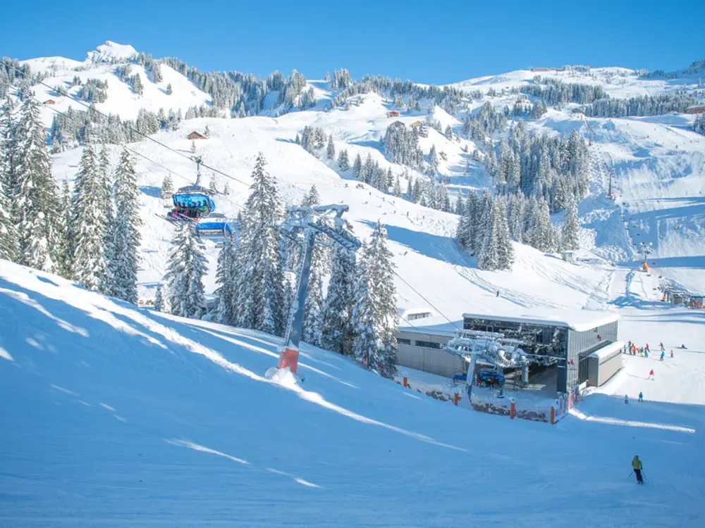 VIP Kunde Damüls - Mellau - Faschina