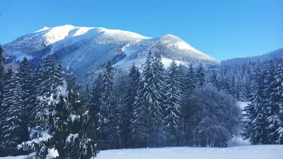 Winterlandschaft am Ötscher
