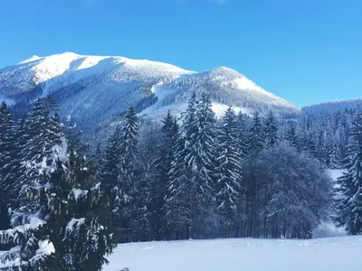 Winterlandschaft am Ötscher © Ötscher Tourismusverband