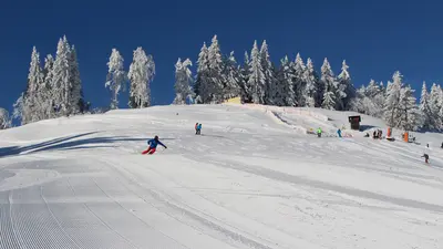 Skifahren am Bödele