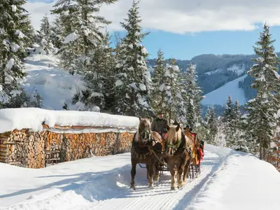 Pferdekutschenfahren Hochkönig © Hochkönig Tourismus GmbH