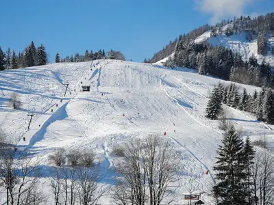 Blick auf die Pisten im Skigebiet Pillersee-Buchensteinwand © Kitzbüheler Alpen Marketing GmbH