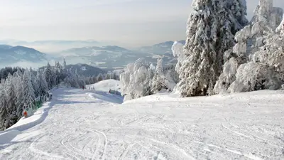 Blick auf die Skipisten