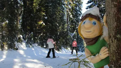 Fichtel im Zauchensee Fichtelland