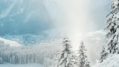 Skifahren in Berwang