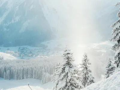 Skifahren in Berwang © Bergbahnen Berwang