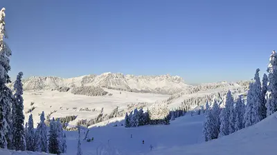 Panorama in Scheffau