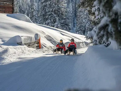 Rodelbahn in See im Paznaun © TVB Paznaun - Ischgl