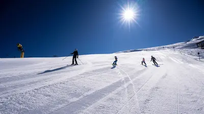 Carving Paradise See