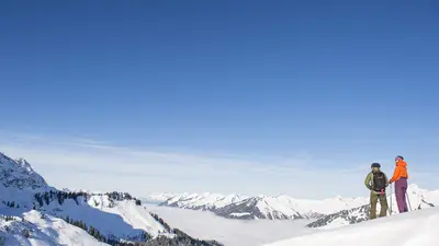 Aussichten vom Sonntag Stein