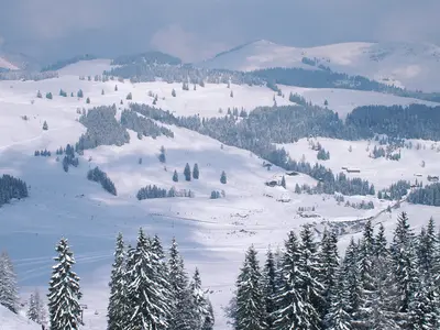 Panorama Postalm © Winterpark Postalm