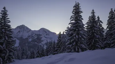 Winterliche Landschaft im Tannheimer Tal
