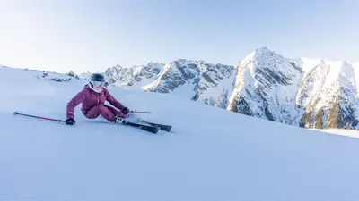 Morgendliche Schwünge am Ahorn