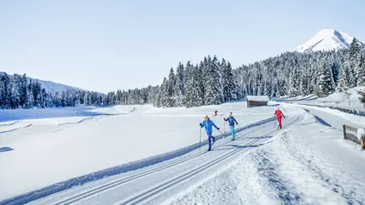 Langläufer auf den gespurten Loipen der Region Seefeld