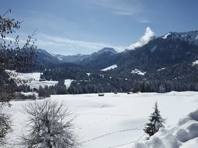 Schnee in Sibratsgfäll