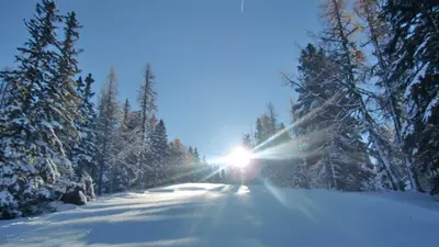 Winterlandschaft in Flattnitz
