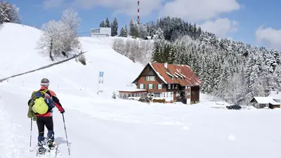 Schneeschuhwandern am Pfänder