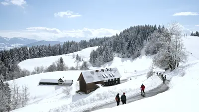 Winterlandschaft am Pfänder