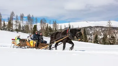 Romantische Pferdeschlittenfahrt