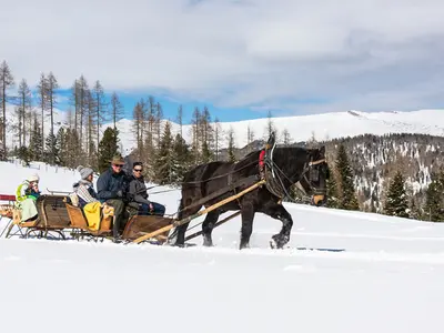 Romantische Pferdeschlittenfahrt © Franz Gerdl