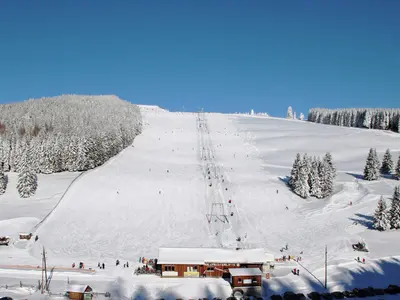 Holzmeisterlift Almenland © Wiltschnigg