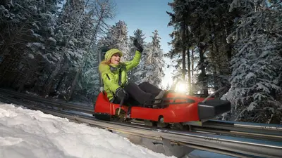 Der Osttirodler im Skigebiet Lienzer Bergbahnen